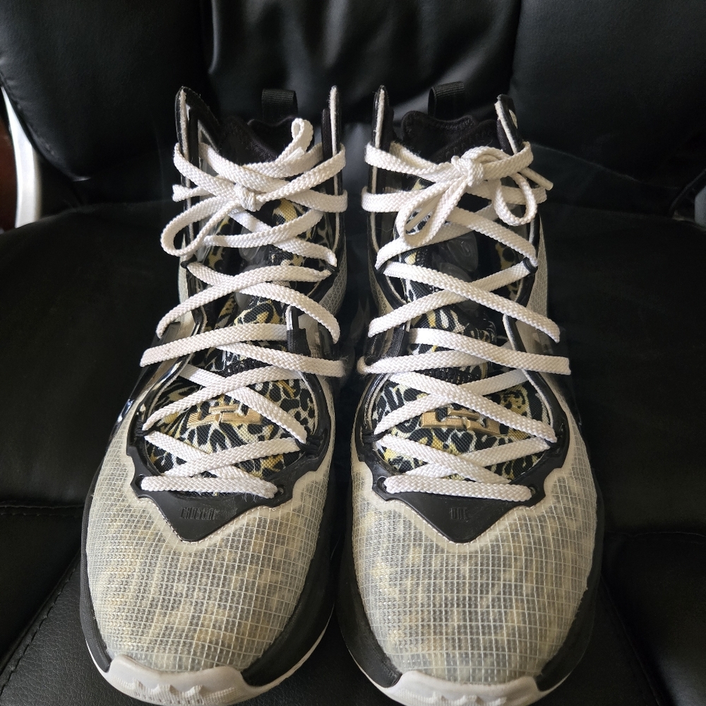 Nike Lebron XIX SE